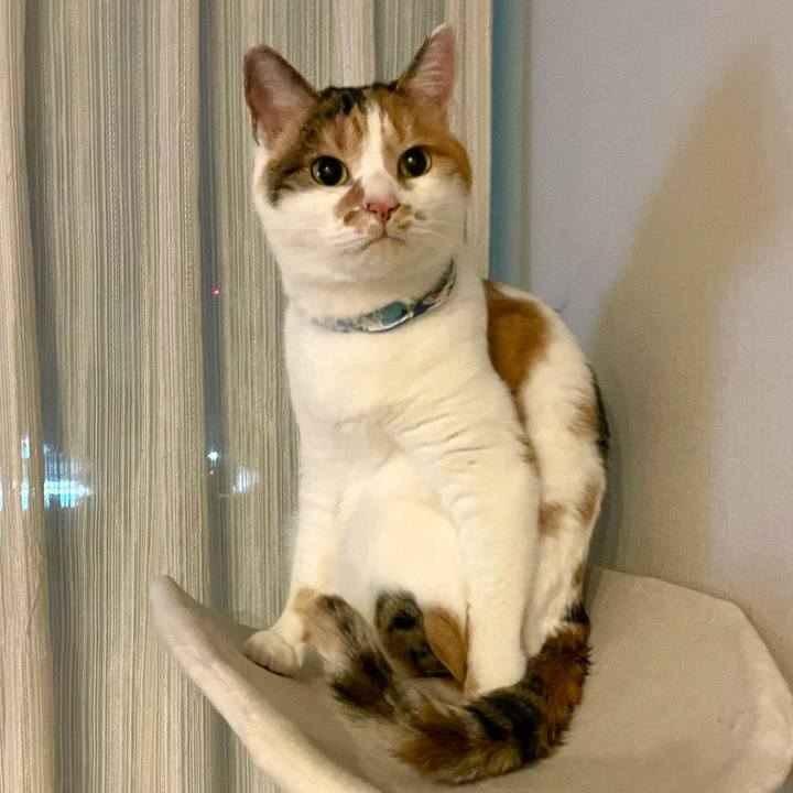 6ca9cedd 8c05 4630 a58f d6a31c5b1a9a 1701004988483