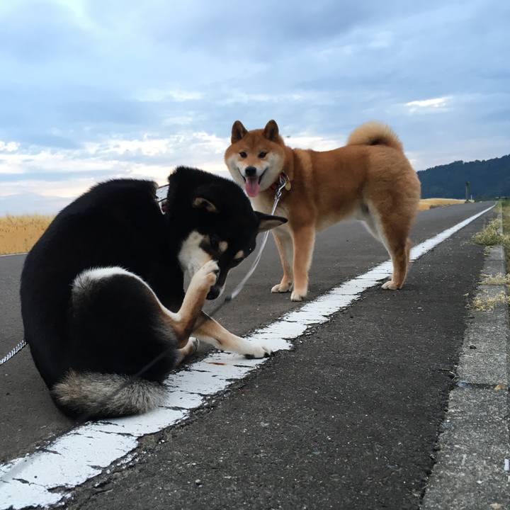 6ca9f259 667f 4bdf af20 3ce0e9a11855 1527588116335