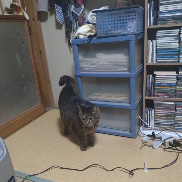 6caa1a70 ad0b 4379 a216 62964d6b6cbe 1678703448393