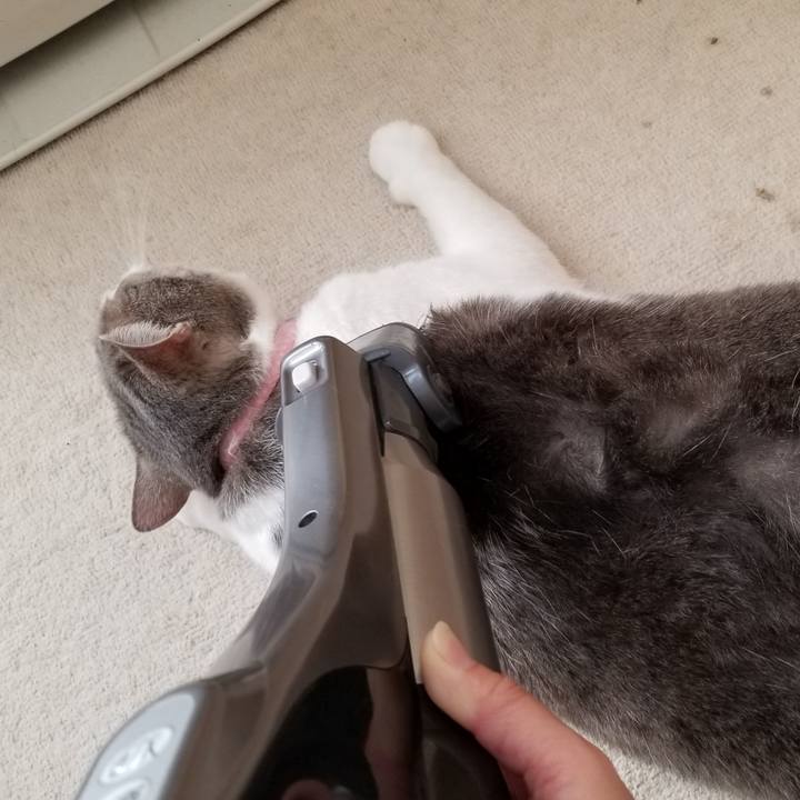 6caa1f1f dca9 43d5 a188 700a3619a28f 1571402730928