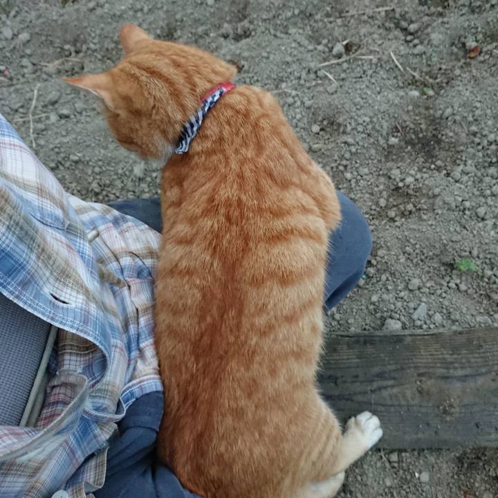 6caa2006 112d 4ded 89c5 2868047b8c83 1569707442026