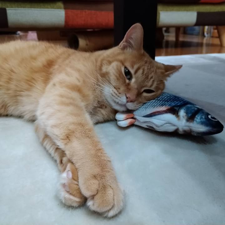 6caa6a7f d660 4f3d 8b79 81001ab7b0e7 1586251133021