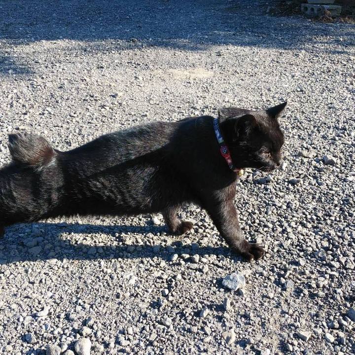 6caa6de6 0877 436d 9529 54e097789f36 1573775962756