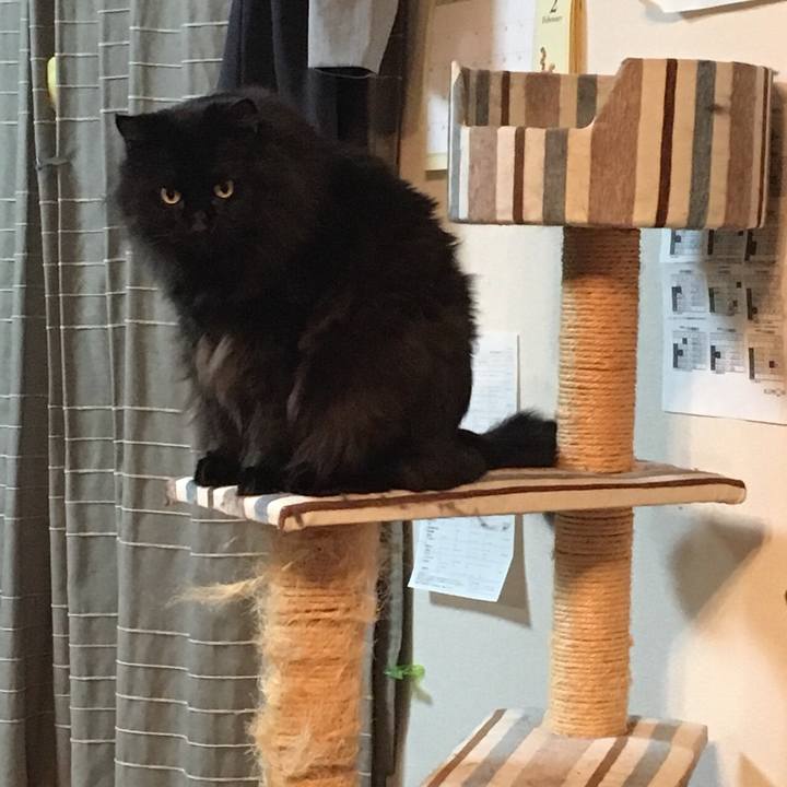 6caa8973 3f9f 4f10 9961 7fce02fe99e8 1548160288475