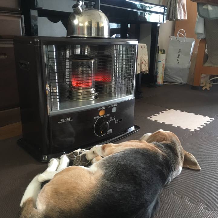 6caa9ad4 1bf1 4607 98b1 327b3700c86b 1509974698308