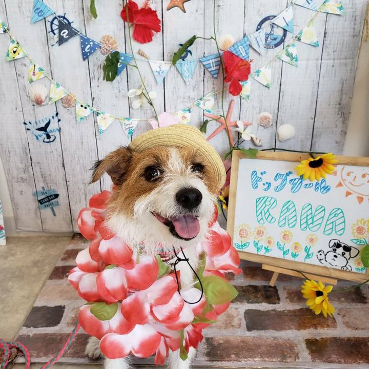 6caaacee f33e 44f9 bebc 02f91a755104 1597459709314