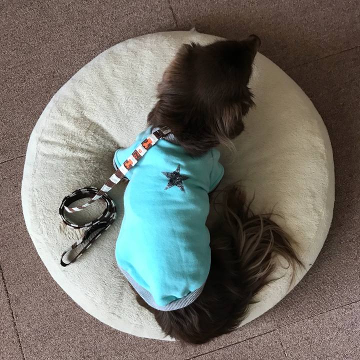 6caab0ce 6ed3 4914 937b 40a438d62cb4 1519627011130