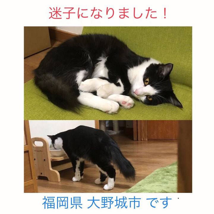 6caada33 53de 467d b0ee 32acf141fa68 1542696250878