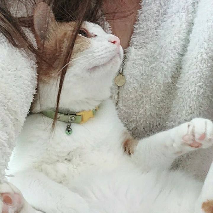 6cab0d0c c348 4b52 8704 5c172ad86f1e 1525921971445