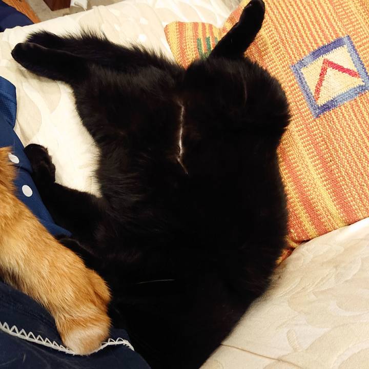 6cab57ea f591 4835 b8c8 f90c72f1895b 1624103976814