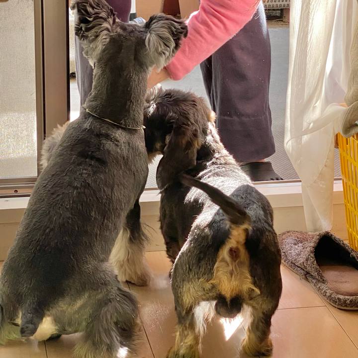 6cab8d0a 23a2 490a 88a9 3514f226ffef 1618122804744