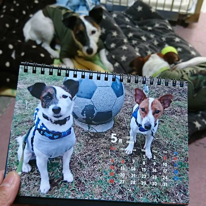 6cabfcd9 8b0c 45e8 ac13 aa80fcb4bec1 1556759094460