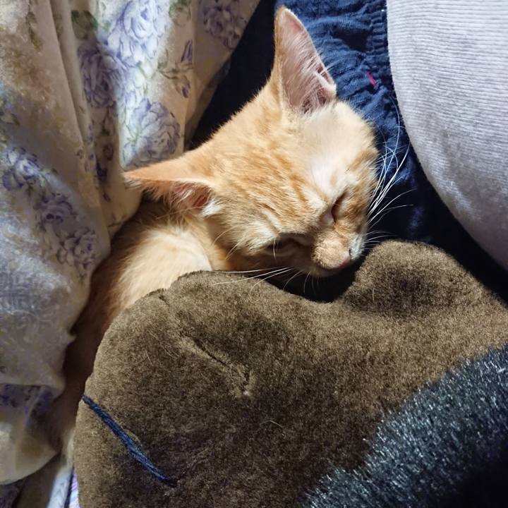 6cac129e dd23 47e5 b049 42a6e3db80e0 1631276176177