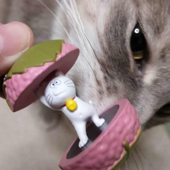 6cac1619 2050 4259 99e0 cd11203222fb 1581651443314