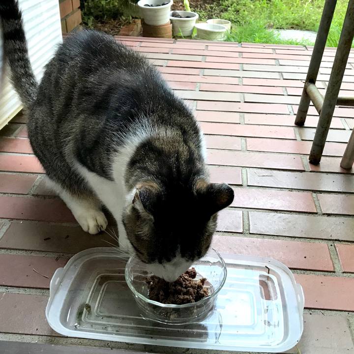 6cac29fa a908 4cba 8411 58dd6c370514 1534306689905