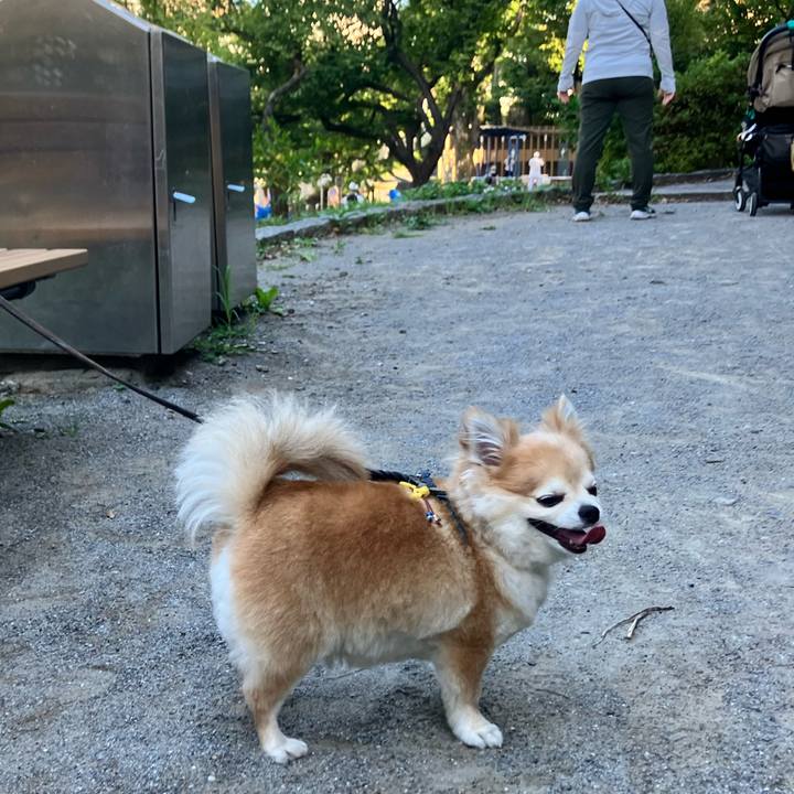 6cac3f3f e7a7 48e0 9cab fb66531dbda5 1752976473023