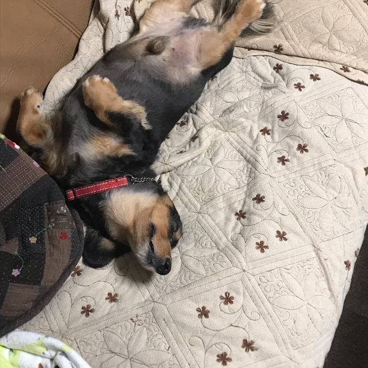 6cac6af5 38ea 4555 bc8c 1de2ae691255 1542581578282