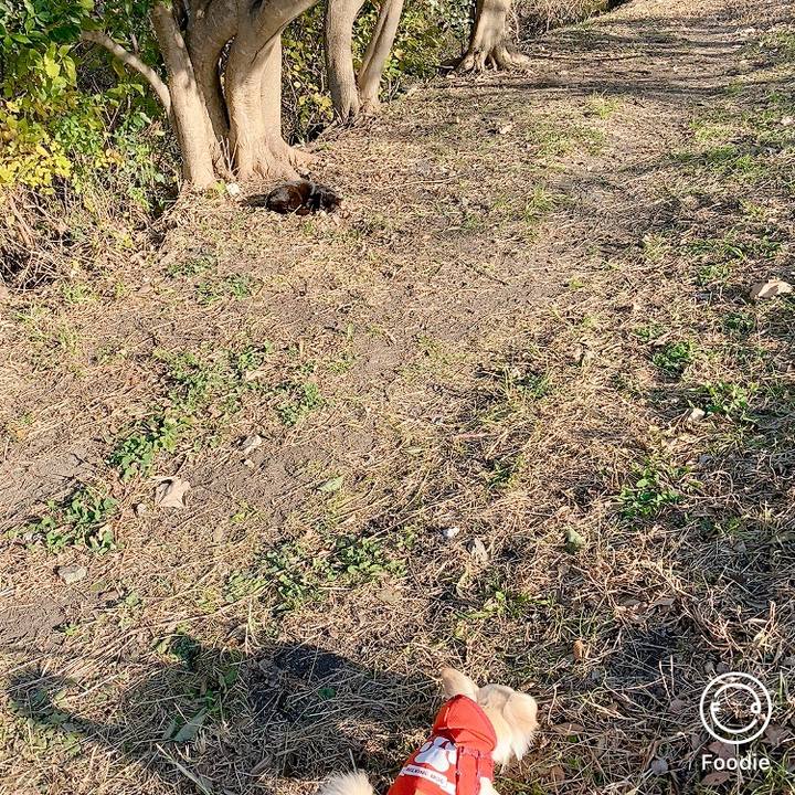 6cac84ef 882d 403c 8395 d5dcc64ba008 1607238098137