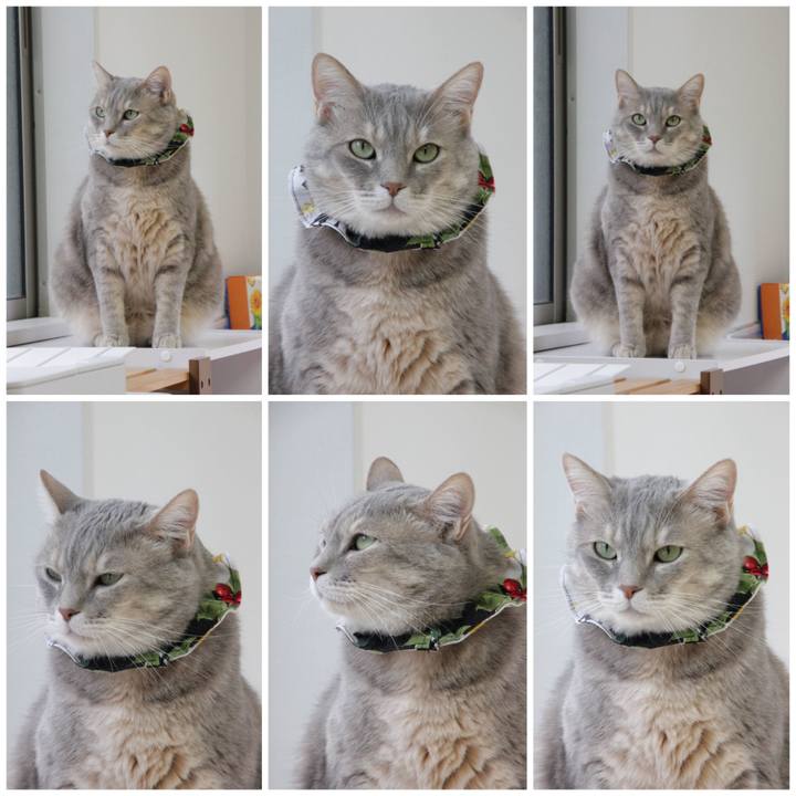 6cac9329 c2e3 4526 b7ee 3f3bdc56f408 1655869330704