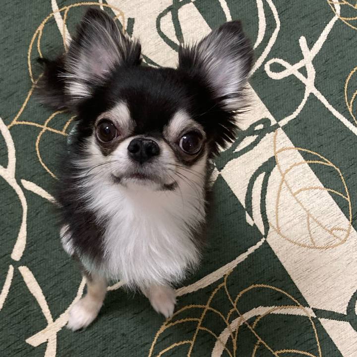 6cad098d 2a84 456f b6f9 0975be66ddfa 1647781348354