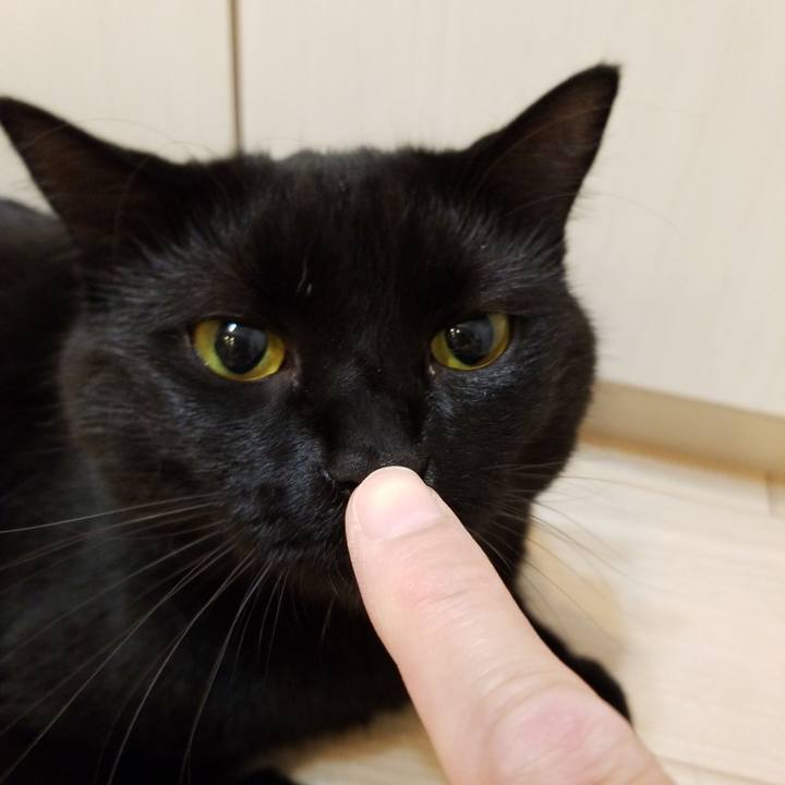 6cad0c96 3ac7 4848 8a2e 66fadadc6f6d 1534512599948