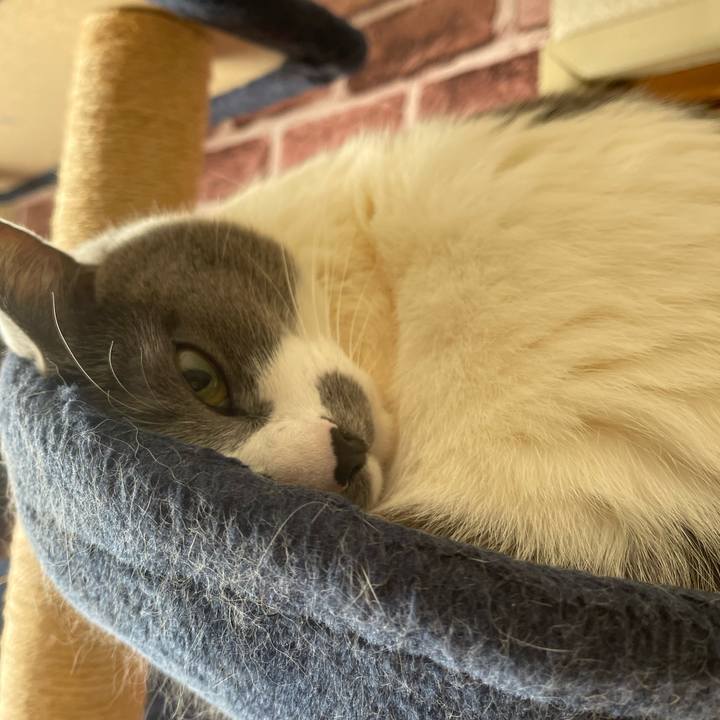 6cad33ef 83bc 46e5 8db9 98234e81116d 1736555099931