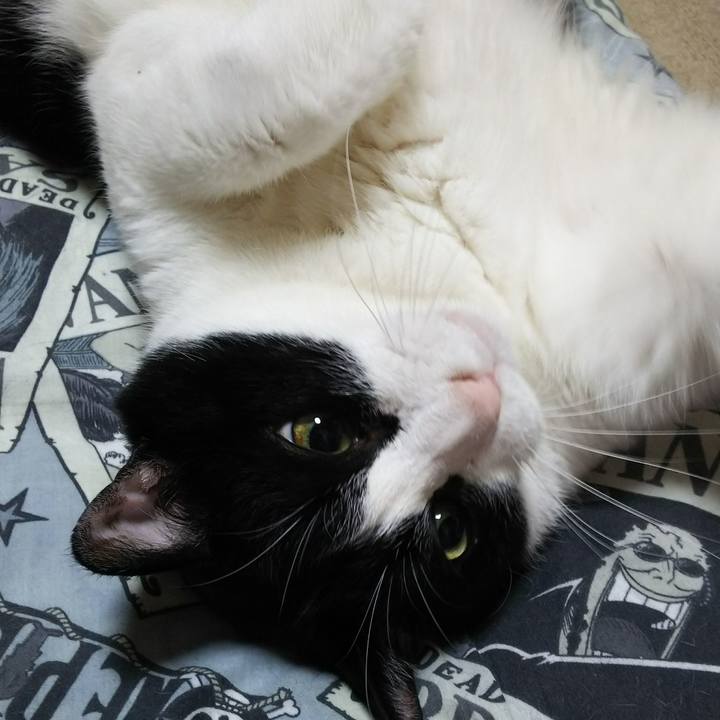 6cad3c4b 9894 4f65 a3aa 6b1d17437b42 1531920492759