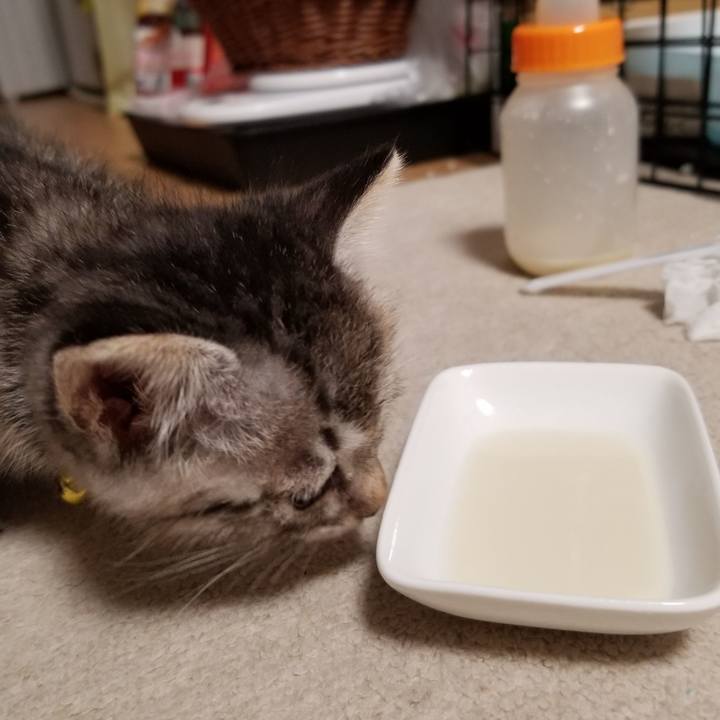 6cad642d be39 4830 bac8 ebae7330b2b5 1661424108805