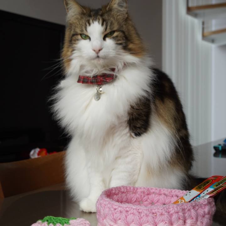 6cad9359 a39c 4df1 96bc 6ea533882287 1615272295994