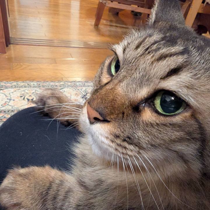 6caddfb6 bc70 4f2d b888 f1f32e84a96e 1775429740726