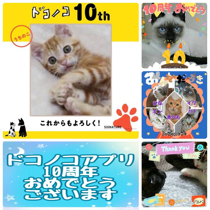 6cadee10 7ff2 4808 91c8 2a130b0a19b9 1780785196854