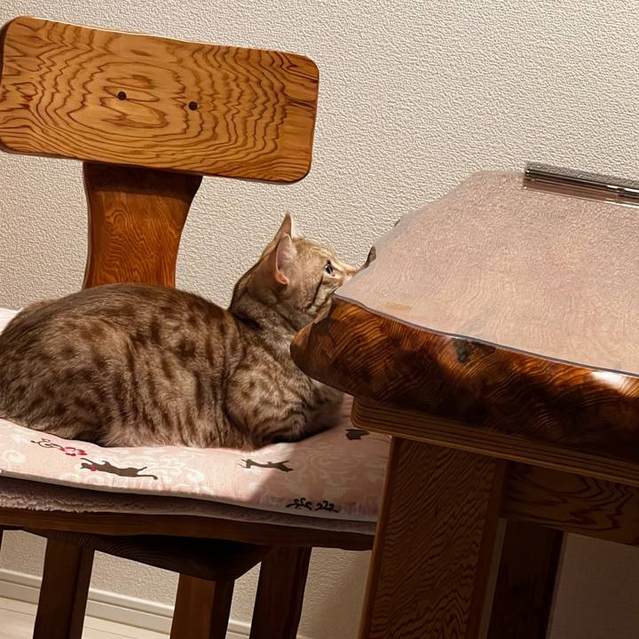 6cae06c9 cee1 4ea8 90dd 2ec705264223 1693707659640