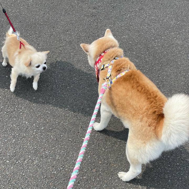 6cae60a5 9017 48cb 8531 f3a08c3d1d30 1647300372263