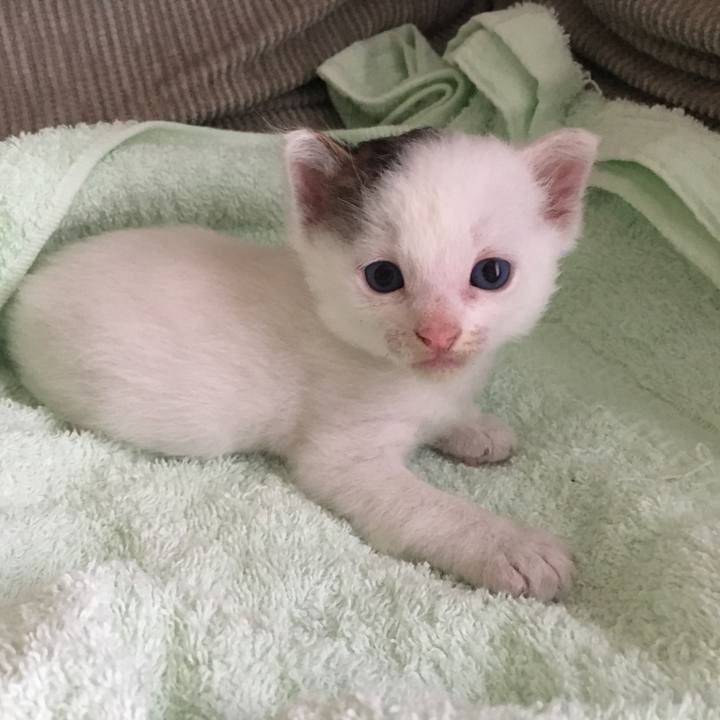 6cae697b d829 4f13 9477 5a3fc511a0eb 1664747437815