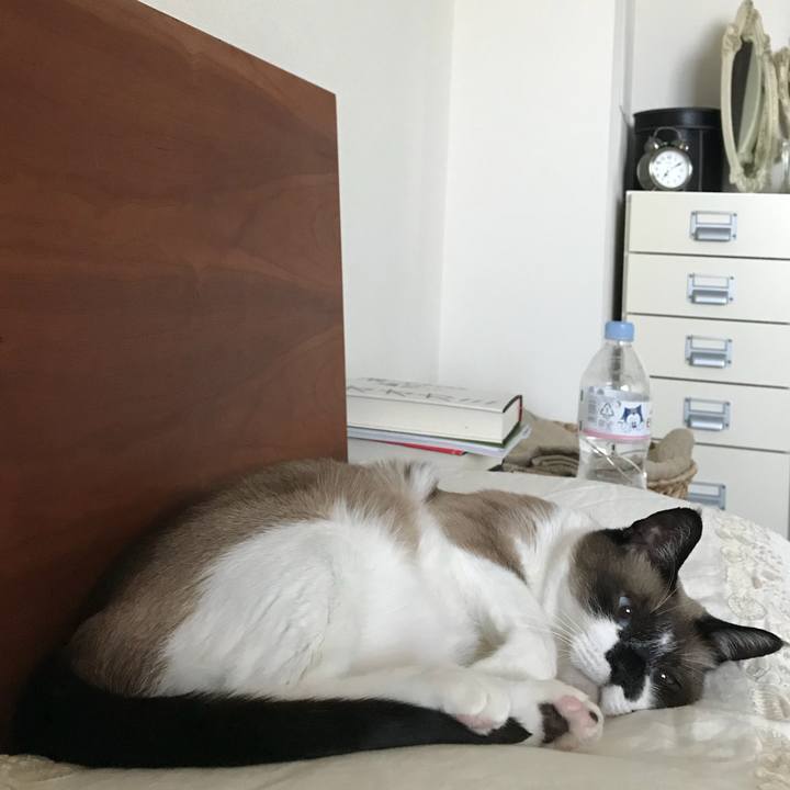 6caea8b3 41d8 4076 b3f9 6a4a569ecaaf 1553566020279