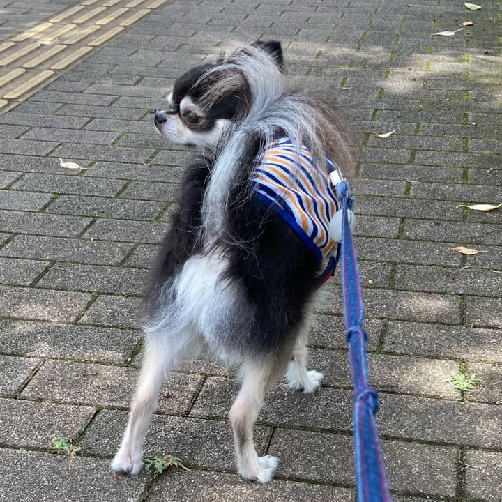 6caee7da f28e 41a7 aa64 cdae8a5ae315 1718553091437