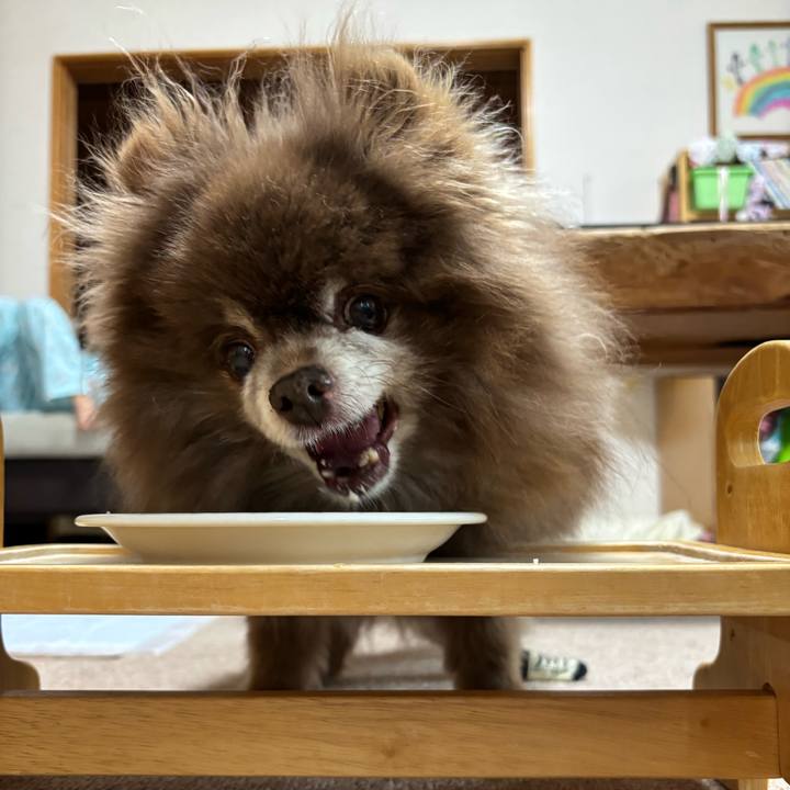 6caef7a7 309f 47ee 9c73 20c65535daf1 1746913233453