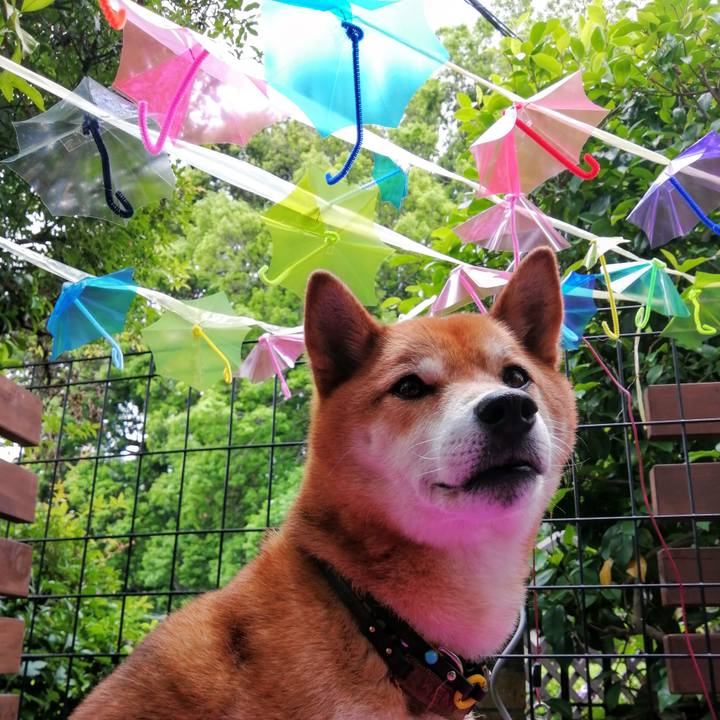 6caefa51 32b7 42ff 88e1 04d1cd3fe0ce 1622776156636