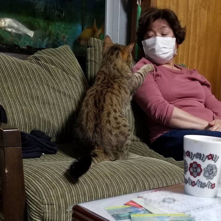 6caf1e66 c884 4fd7 a2c6 62ef27262bef 1644670471081