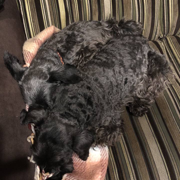 6caf4ae0 1516 4a63 8315 d612c804e990 1585483244097