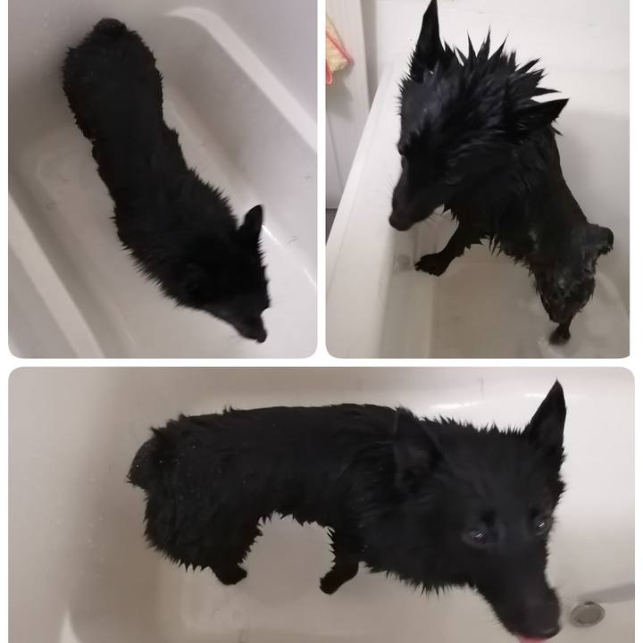 6caf8eda e27d 45af b454 5ed97b7a7273 1624172569509