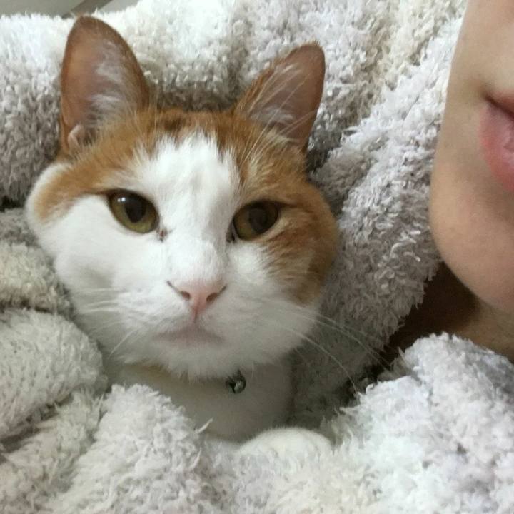 6cafa8d6 4739 4029 9263 a771f2600ac8 1539819144536