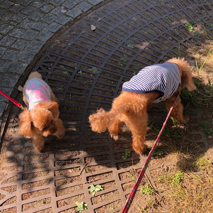 6cafb689 859c 4505 8320 fbe95bde680e 1570082667975