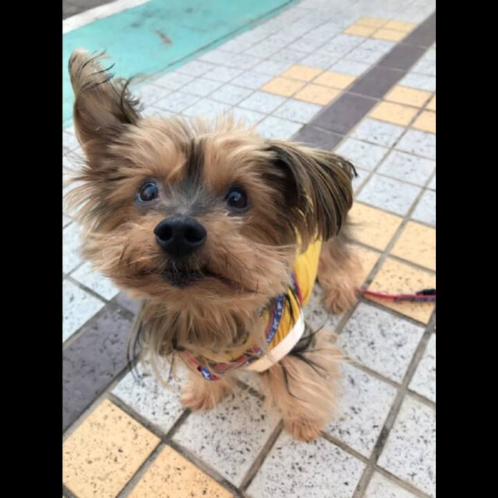 6cafc5aa 9747 4764 be92 744133011cd7 1511339219898