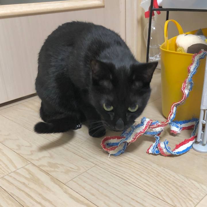 6cafd0df fbfc 4683 98ed 6affd98e9b1f 1605881022397