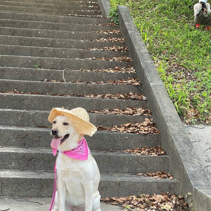 6cb029fc 2c0f 4e65 be65 6b38b91fbc0c 1651731381691