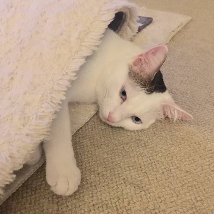 6cb06b89 4487 4ad2 84cc 2b86fe18f3d4 1540601979938