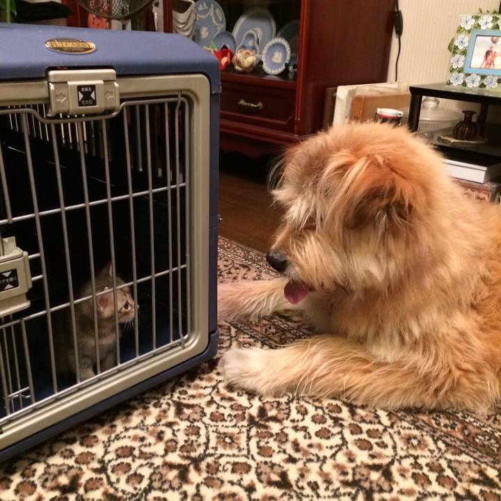 6cb0c74c 8fe9 4e72 8f70 c9cfedcd6124 1613960783283