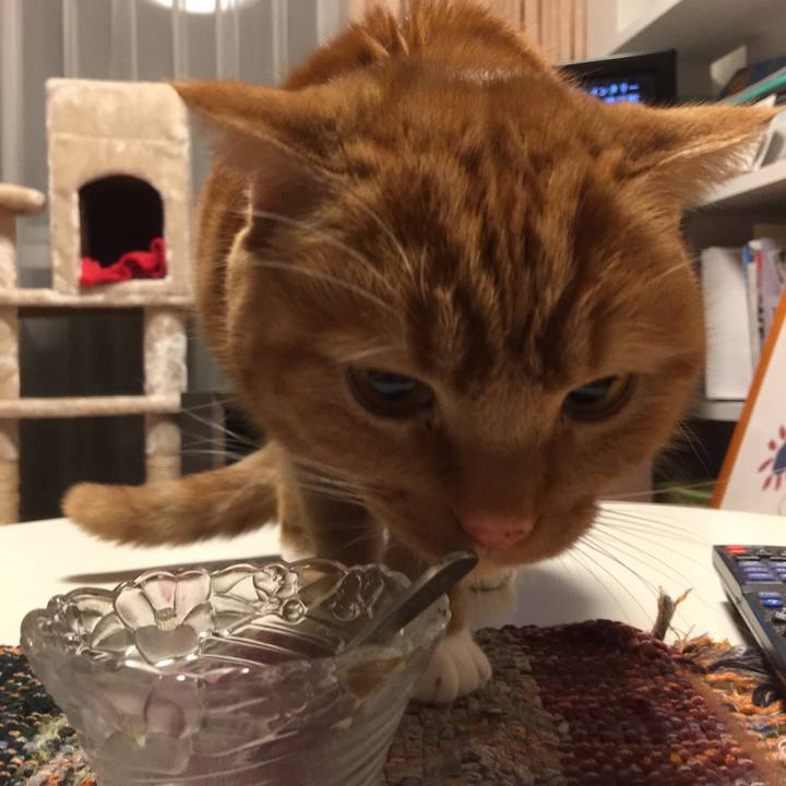 6cb11d73 6c0f 4dc9 98ef 630699f2a247 1552050447780