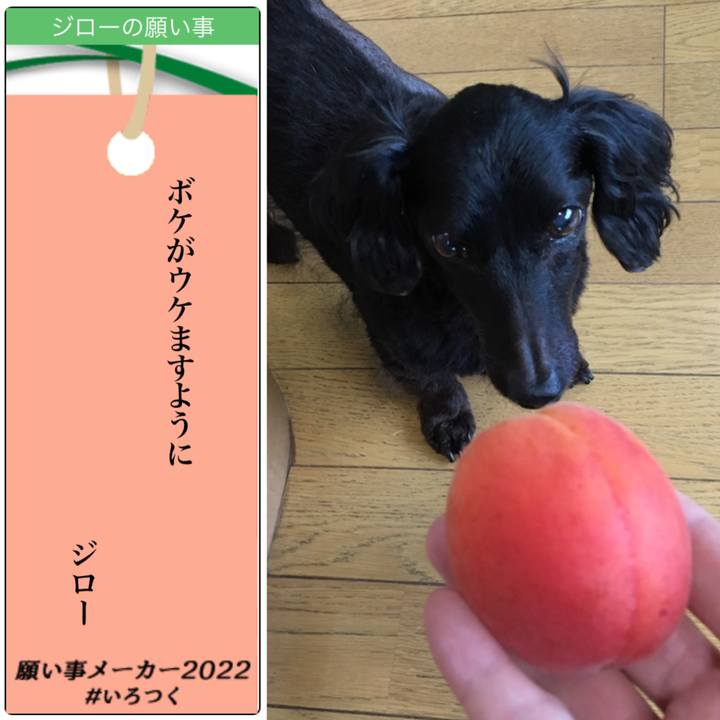 6cb13cd8 943a 4cd9 aa8b 95b104407dac 1657153802340